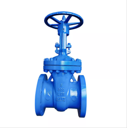 What are the Specific Applications of Flange End Gate Valves?