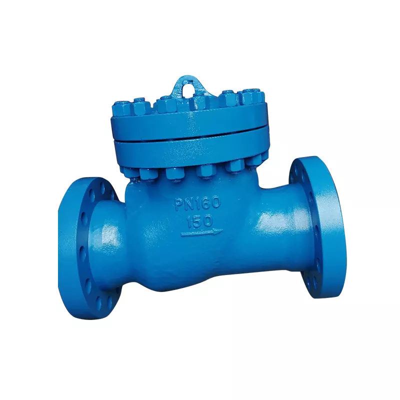 What Makes a Cast Steel Check Valve the Cornerstone of Your Piping System's Safety and Efficiency?