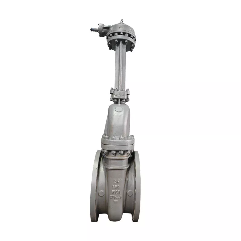 What Are EN Gate Valves?