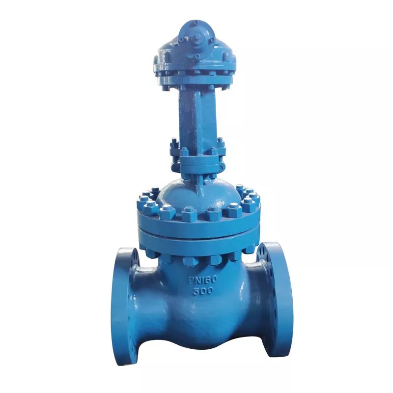 Why Are Hard Seal Gate Valves Becoming the Preferred Solution for Reliable Industrial Flow Control
