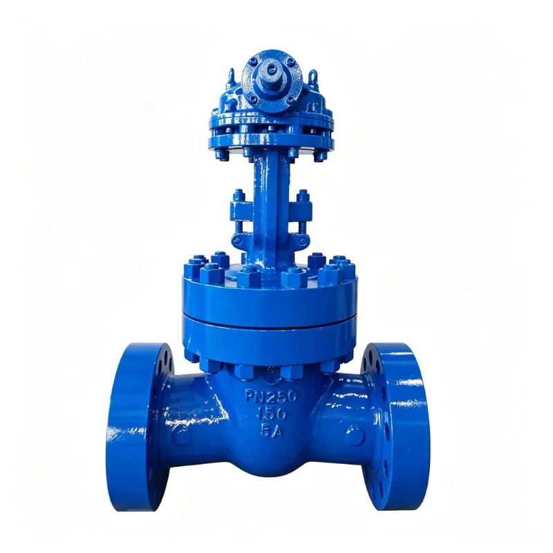 Duplex Steel Gate Valve